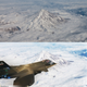 Image for article titled Iran Photoshopped Its New Stealth Fighter Jet to Look Like It Was Flying When It Totally Wasn't